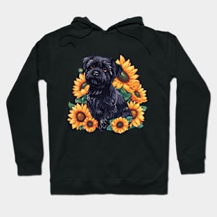 Affenpinscher Hoodie